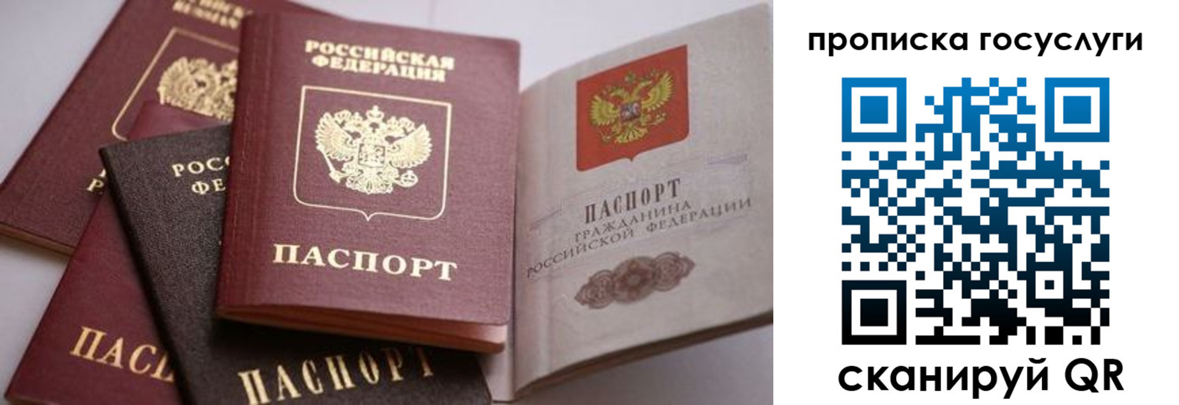 прописка иностранных граждан в Алагире